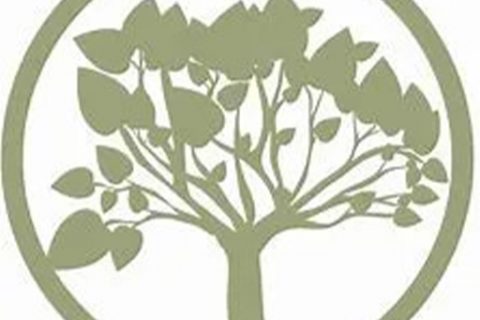 Tree icon